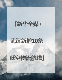 新华全媒+｜武汉新增10条低空物流航线