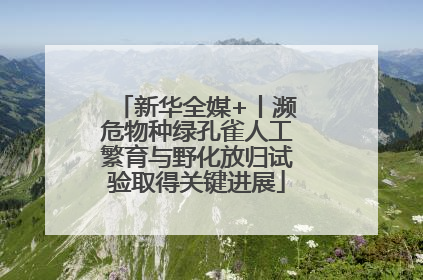 新华全媒+丨濒危物种绿孔雀人工繁育与野化放归试验取得关键进展