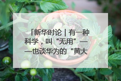 新华时论｜有一种科学，叫“无用”——也谈华为的“黄大年茶思屋”