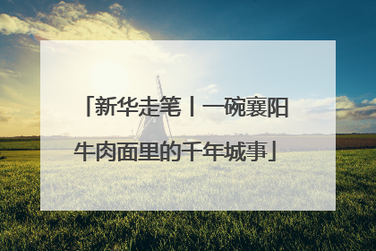 新华走笔丨一碗襄阳牛肉面里的千年城事