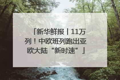 新华鲜报丨11万列！中欧班列跑出亚欧大陆“新时速”