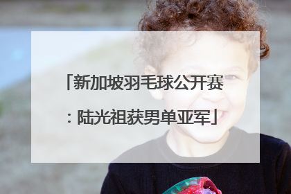 新加坡羽毛球公开赛：陆光祖获男单亚军