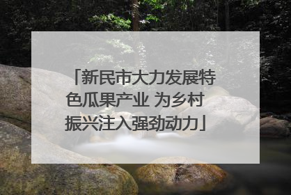 新民市大力发展特色瓜果产业 为乡村振兴注入强劲动力