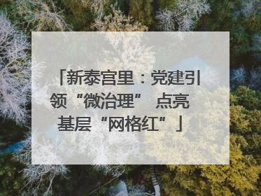 新泰宫里：党建引领“微治理” 点亮基层“网格红”