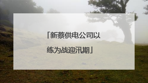 新蔡供电公司以练为战迎汛期