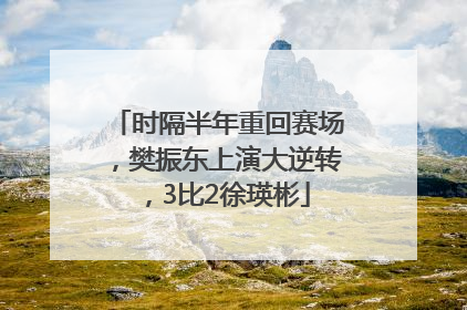 时隔半年重回赛场，樊振东上演大逆转，3比2徐瑛彬