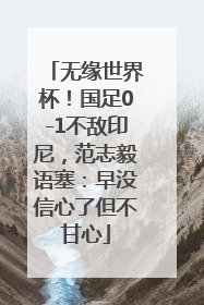 无缘世界杯！国足0-1不敌印尼，范志毅语塞：早没信心了但不甘心