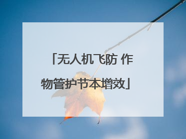 无人机飞防 作物管护节本增效