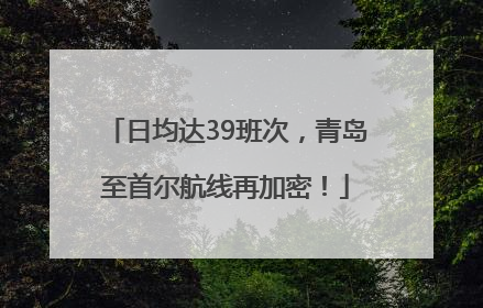 日均达39班次，青岛至首尔航线再加密！