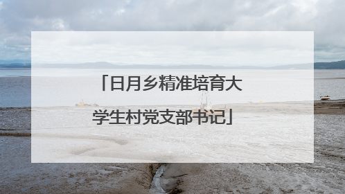 日月乡精准培育大学生村党支部书记
