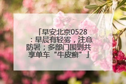 早安北京0528：早晨有轻雾，注意防暑；多部门围剿共享单车“牛皮癣”