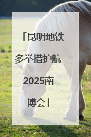 昆明地铁多举措护航2025南博会