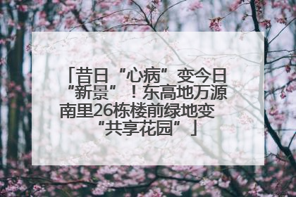 昔日“心病”变今日“新景”！东高地万源南里26栋楼前绿地变“共享花园”