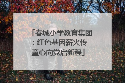 春城小学教育集团：红色基因薪火传 童心向党启新程