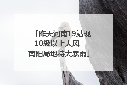 昨天河南19站现10级以上大风  南阳局地特大暴雨