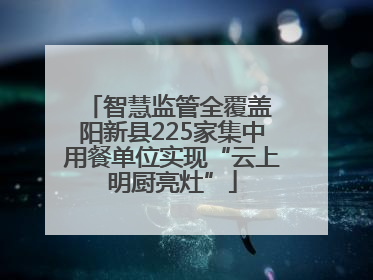 智慧监管全覆盖 阳新县225家集中用餐单位实现“云上明厨亮灶”