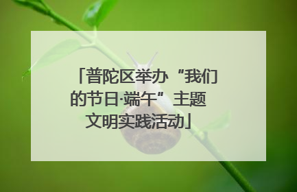 普陀区举办“我们的节日·端午”主题文明实践活动