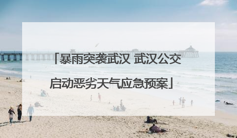 暴雨突袭武汉 武汉公交启动恶劣天气应急预案