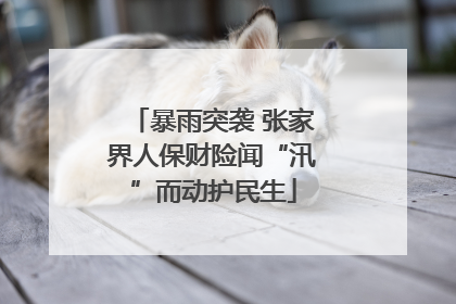 暴雨突袭 张家界人保财险闻“汛”而动护民生