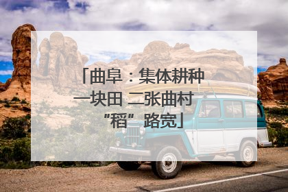 曲阜：集体耕种一块田 二张曲村“稻”路宽