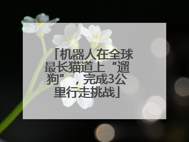 机器人在全球最长猫道上“遛狗”，完成3公里行走挑战