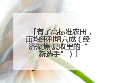有了高标准农田，亩均纯利增六成（经济聚焦·夏收里的“新选手”）