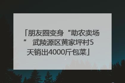 朋友圈变身“助农卖场” 武陵源区黄家坪村5天销出4000斤包菜