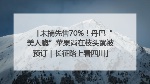 未摘先售70%！丹巴“美人脆”苹果尚在枝头就被预订｜长征路上看四川