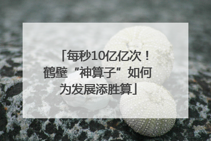 每秒10亿亿次！鹤壁“神算子”如何为发展添胜算