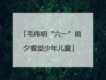 毛伟明“六一”前夕看望少年儿童