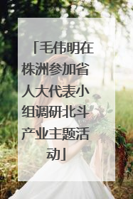 毛伟明在株洲参加省人大代表小组调研北斗产业主题活动