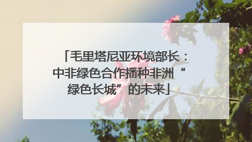 毛里塔尼亚环境部长:中非绿色合作播种非洲“绿色长城”的未来