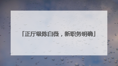 正厅级陈白薇，新职务明确