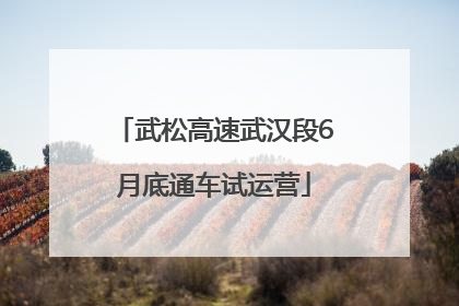 武松高速武汉段6月底通车试运营