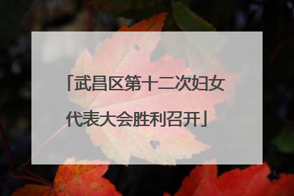 武昌区第十二次妇女代表大会胜利召开