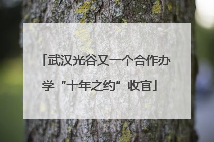武汉光谷又一个合作办学“十年之约”收官
