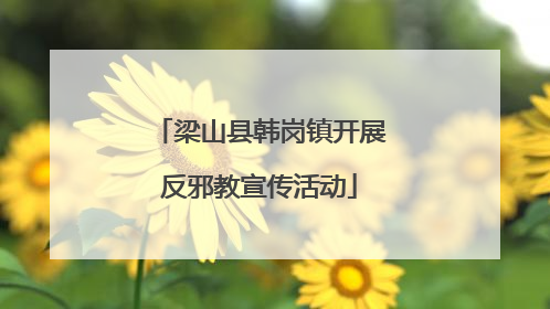 梁山县韩岗镇开展反邪教宣传活动