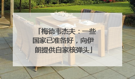 梅德韦杰夫：一些国家已准备好，向伊朗提供自家核弹头