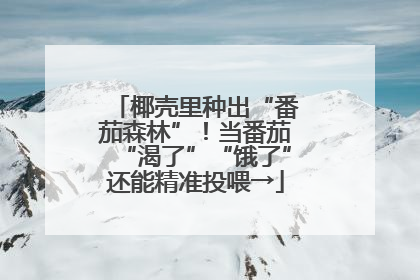 椰壳里种出“番茄森林”！当番茄“渴了”“饿了”还能精准投喂→