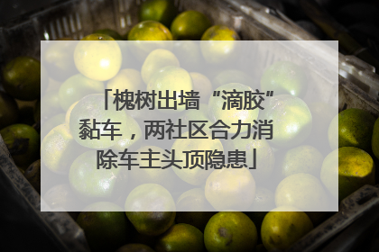 槐树出墙“滴胶”黏车，两社区合力消除车主头顶隐患