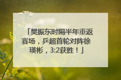 樊振东时隔半年重返赛场，乒超首轮对阵徐瑛彬，3:2获胜！