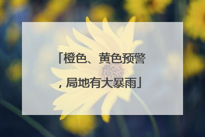 橙色、黄色预警，局地有大暴雨