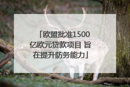 欧盟批准1500亿欧元贷款项目 旨在提升防务能力