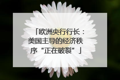 欧洲央行行长：美国主导的经济秩序“正在破裂”