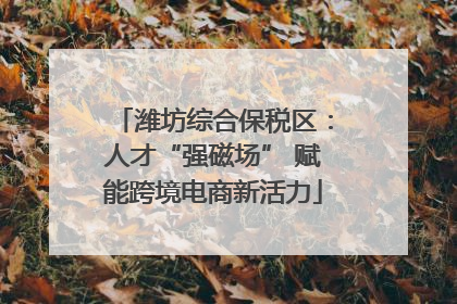 潍坊综合保税区：人才“强磁场” 赋能跨境电商新活力