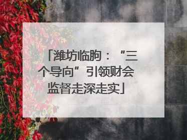 潍坊临朐：“三个导向”引领财会监督走深走实