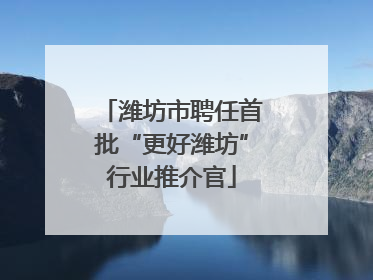 潍坊市聘任首批“更好潍坊”行业推介官