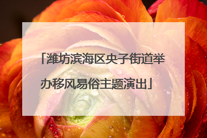潍坊滨海区央子街道举办移风易俗主题演出