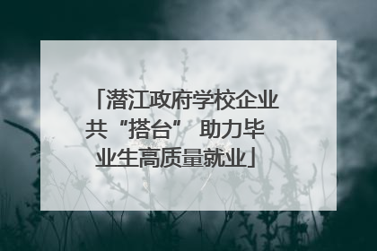 潜江政府学校企业共“搭台” 助力毕业生高质量就业
