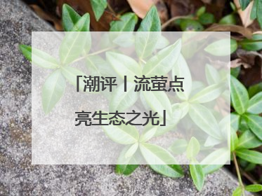 潮评丨流萤点亮生态之光